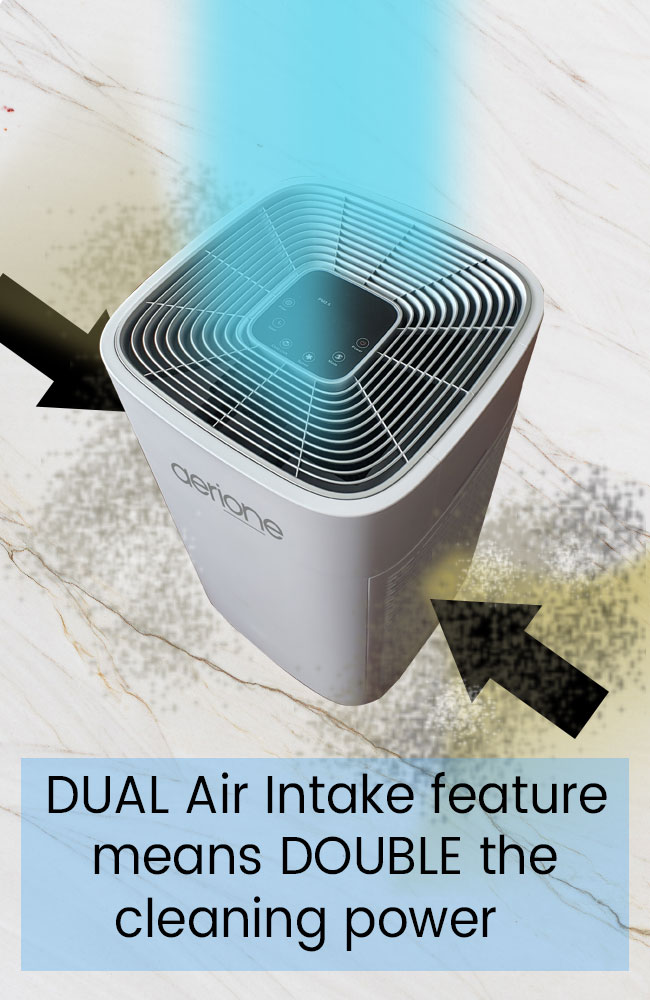 Double-Air-Intake-2